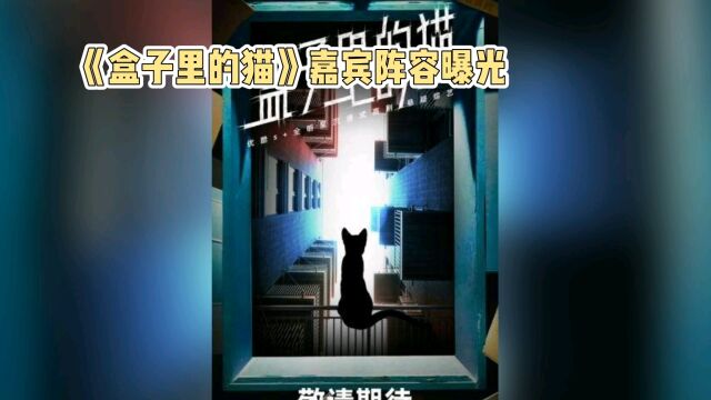 《盒子里的猫》男人帮重聚,豪华阵容引期待,能否成推理综艺巅峰