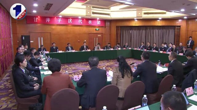 陈绍旺参加市十七届人大三次会议甘井子区代表团分组审议