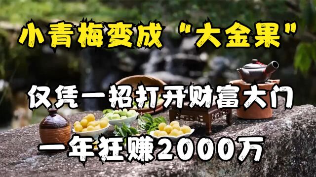 小青梅变成“大金果”,仅凭一招打开财富大门,一年狂赚2000万!