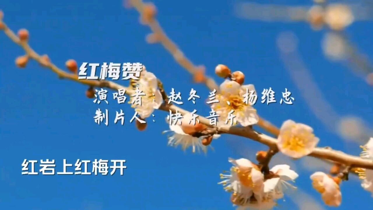 经典红歌《红梅赞》赵冬兰杨维忠女声二重唱 歌声优美动听