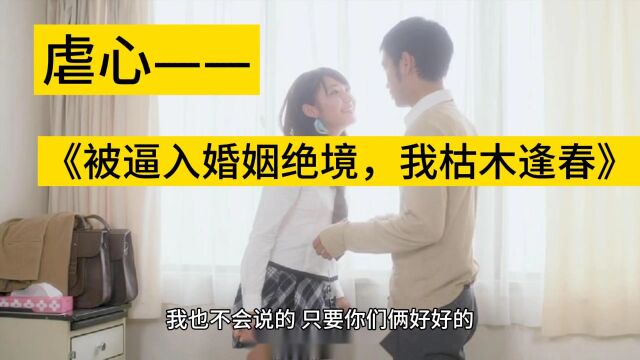 无删减版&《被逼入婚姻绝境,我枯木逢春》秦书娅江岳小说&全集