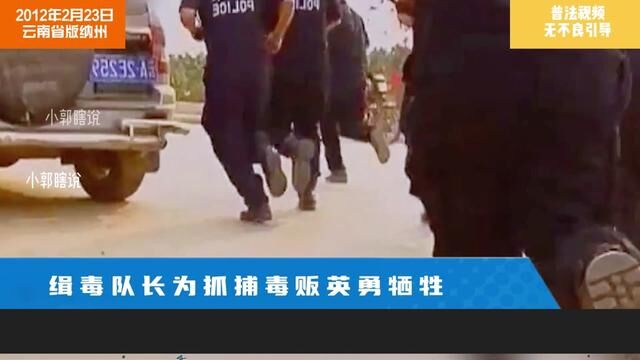 第80集 缉毒队长为抓捕毒贩英勇牺牲#真实事件 #大案纪实 #纪录片 #刑侦 #法律