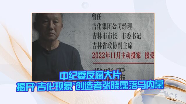 中纪委反腐大片揭开“吉化现象”创造者张晓霈落马内幕