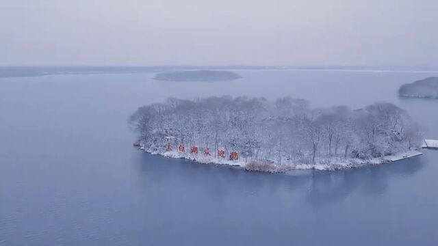 济宁市太白湖新区:雪后太白湖 冬韵美如画