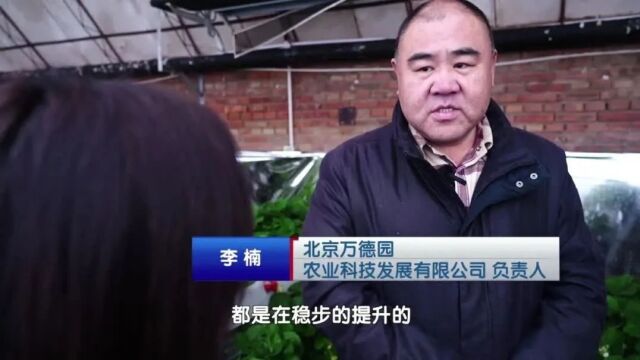 水肥滴灌 昌平草莓种植技术“上新啦”