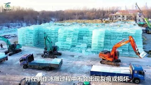 精彩接力!哈尔滨冰雪大世界开始存冰