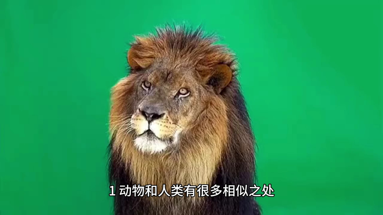 口袋心理学小课堂—研究动物被试的伦理原则