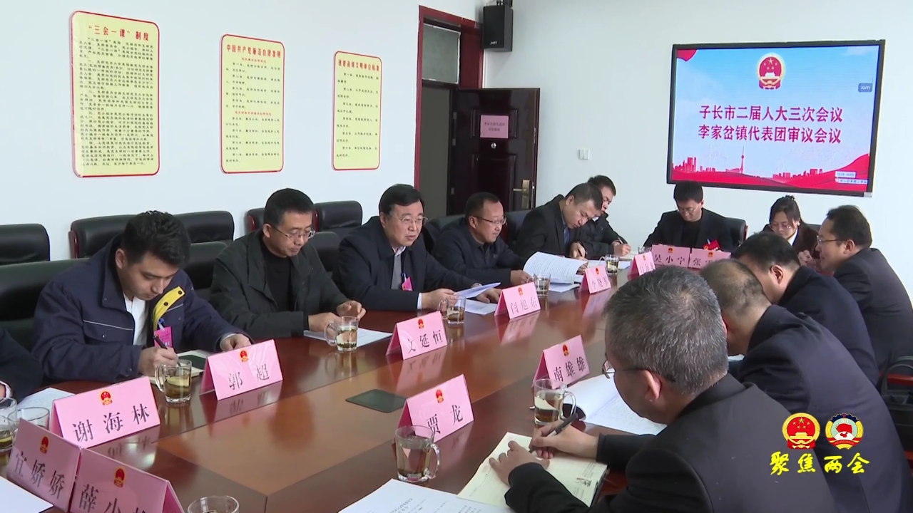 各代表团审议人大 法院 检察院工作报告