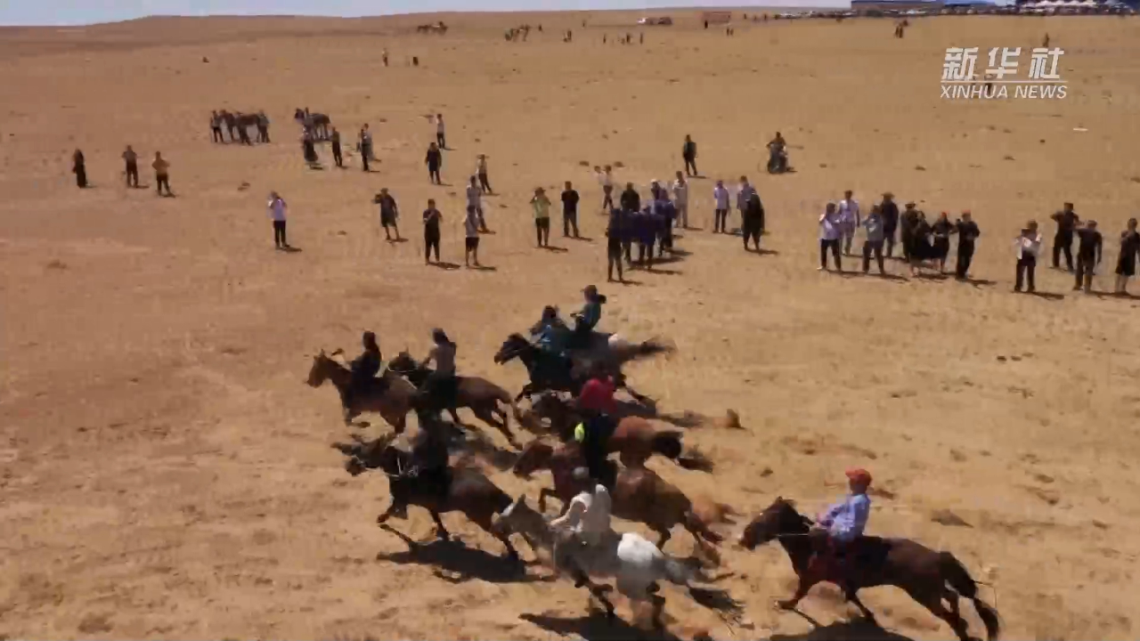 内蒙古乌拉特草原牧民套马场面激烈壮观