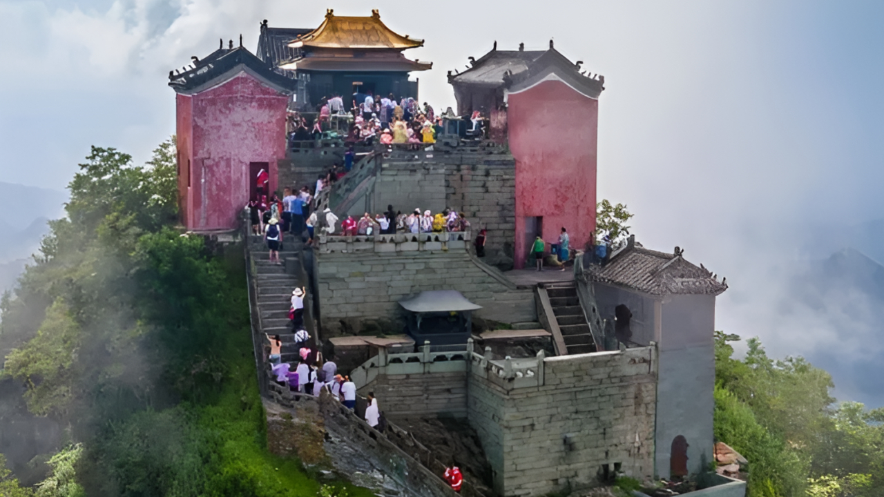 游客称在十堰武当山被野猴咬伤后无人问津,景区:要自行就医