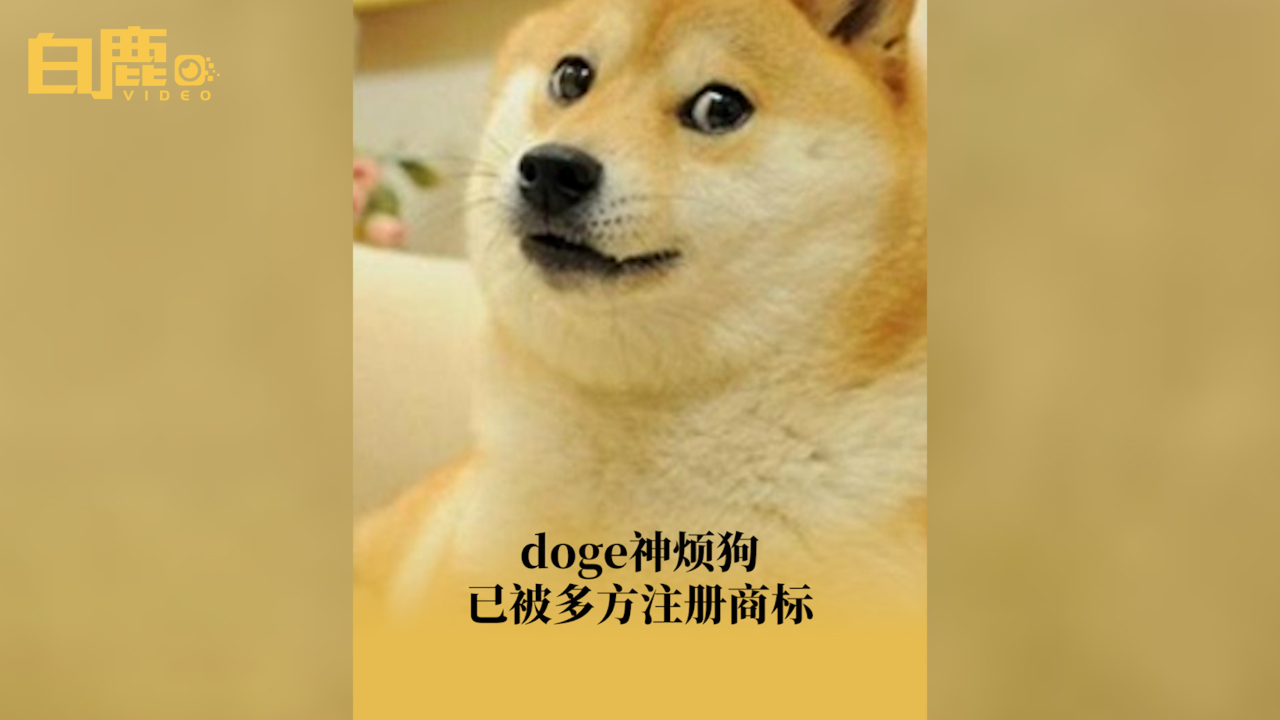 doge神烦狗已被多方注册商标