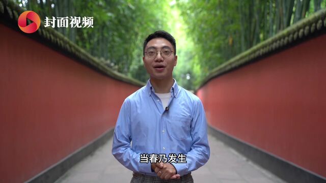 封面研学|化身熊猫探天府,首席美学老师和杜甫一起,为你读诗!
