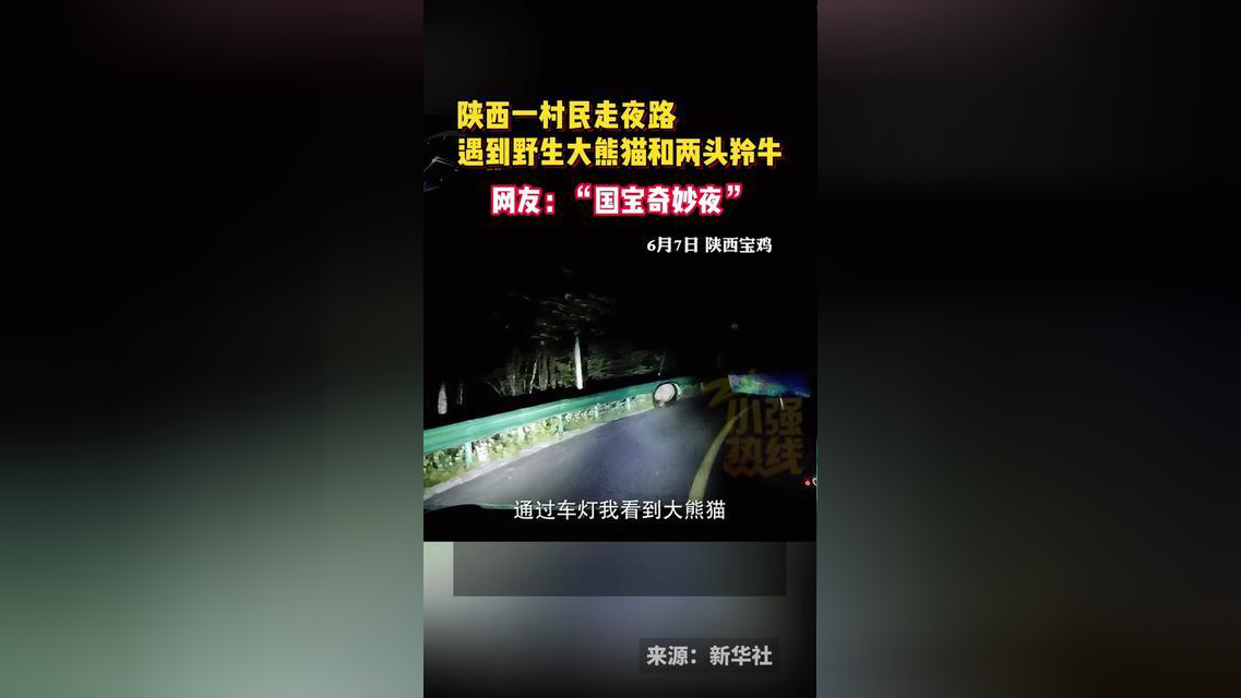 6月7日,陕西宝鸡.