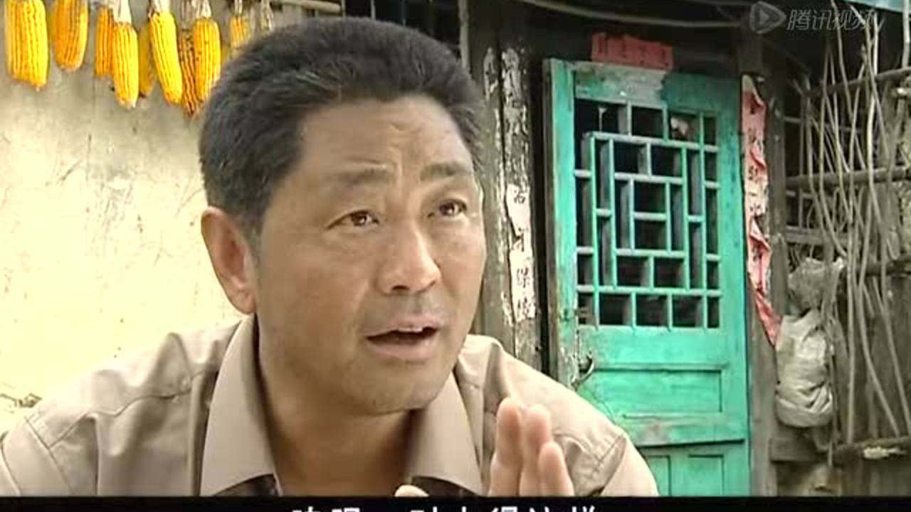 柳树屯 16集
