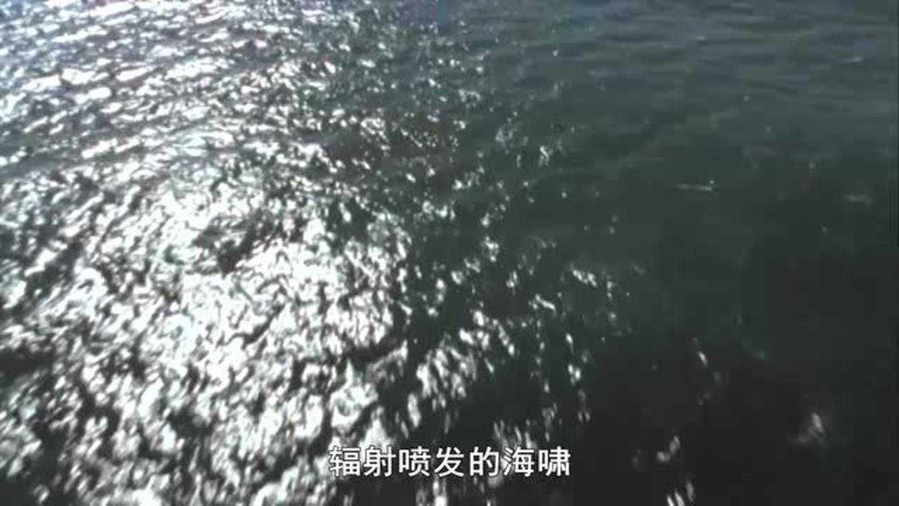 c 深海第1集 高清1080p在线观看平台 腾讯视频