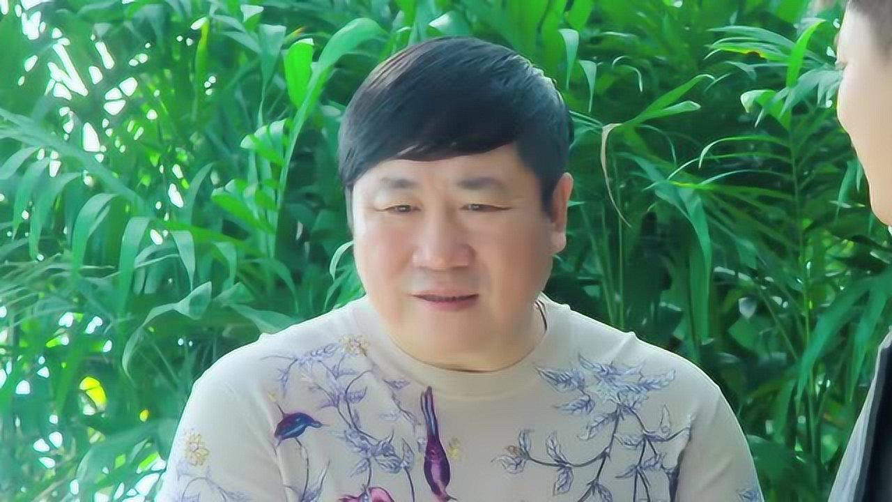 乡村爱情9（下） 28集