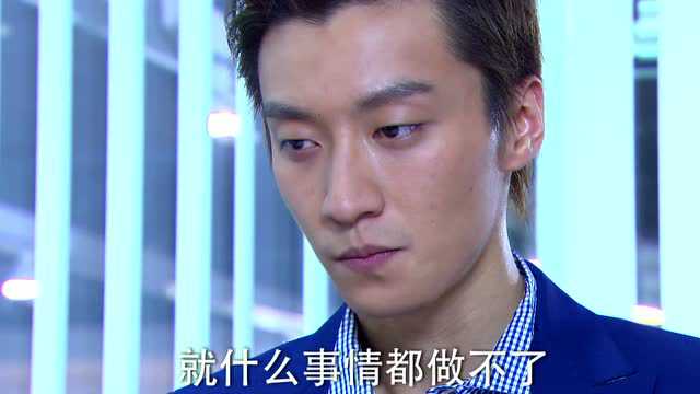 向幸福出发 15集