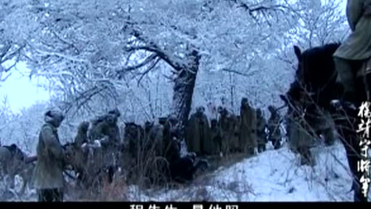 杨靖宇将军 28集
