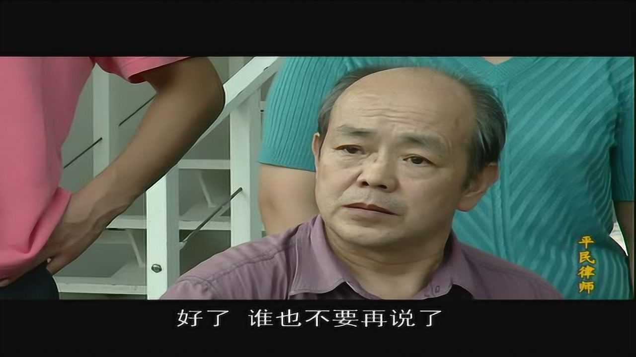 平民律师 20集