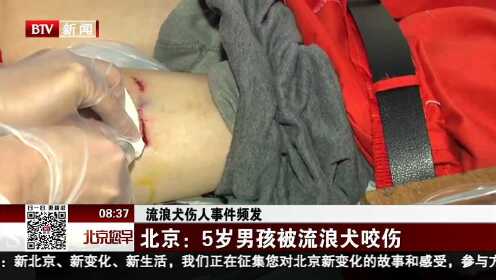 流浪犬伤人事件频发 北京 5岁男孩被流浪犬咬伤