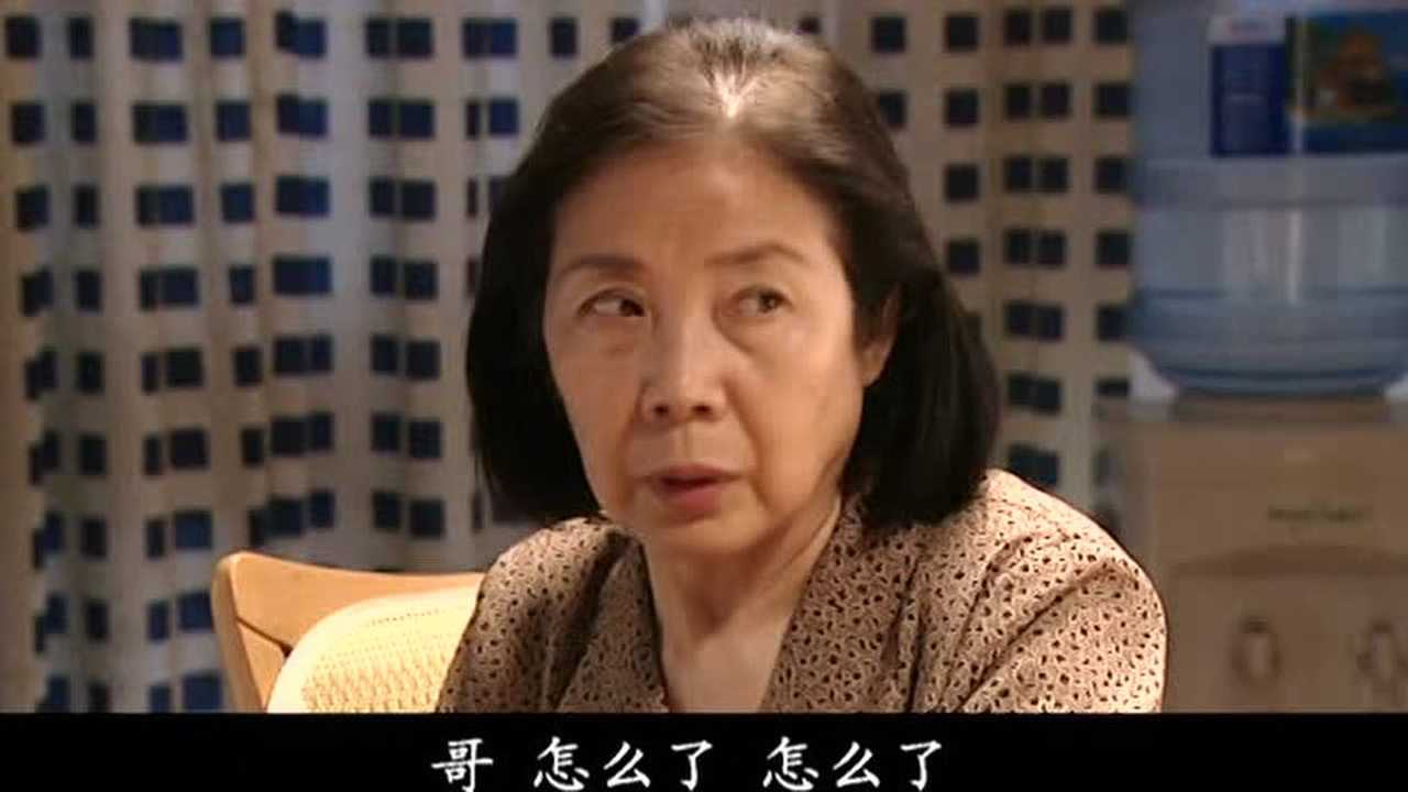 爱如风过 12集