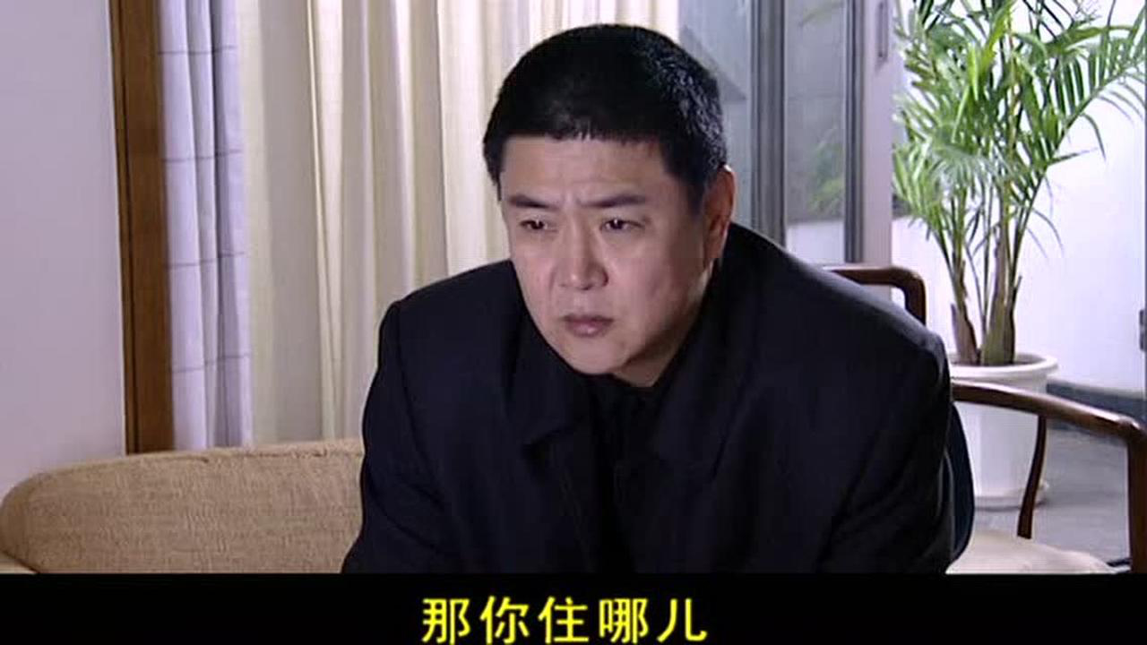 有人爱没人疼 12集
