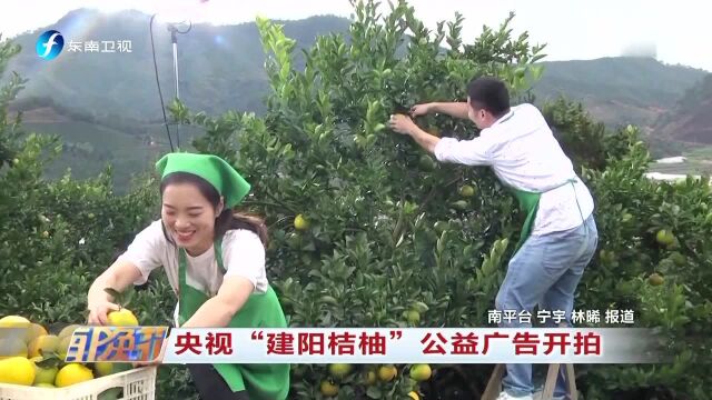 央视“建阳桔柚”公益广告开拍