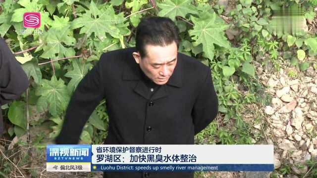 省环境保护督察进行时 罗湖区 加快黑臭水体整治