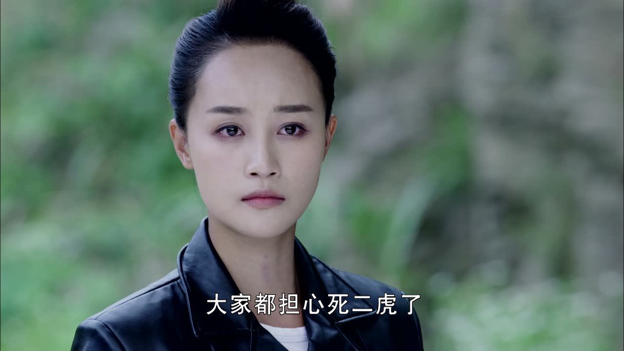 荡寇 38集