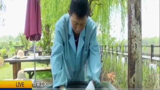 舌尖上的春天:鲜嫩桑芽变身茶 品一品独特的“春茶”