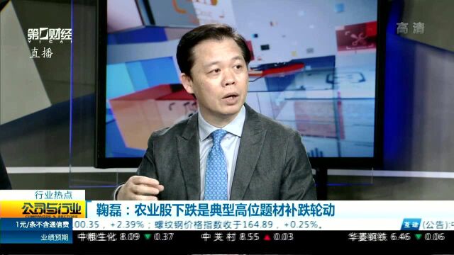 鞠磊:农业股下跌是典型高位题材补跌轮动