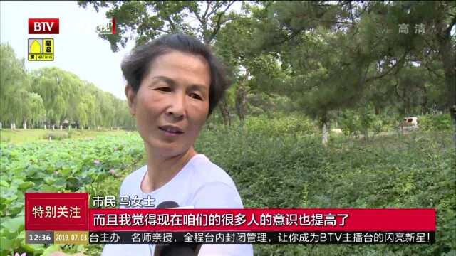 花美河美人也美 大运河森林公园500亩荷花绽放