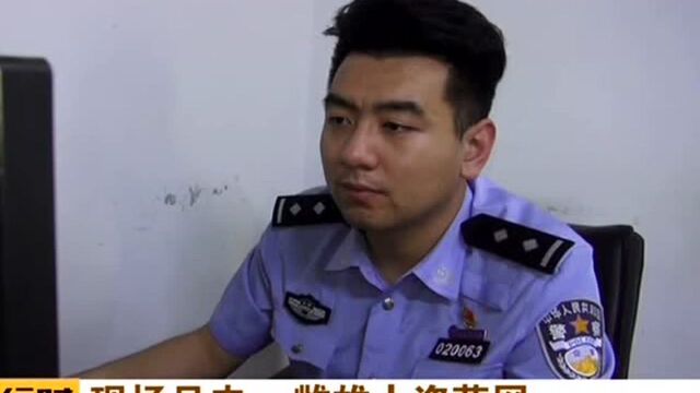 现场目击:雌雄大盗落网