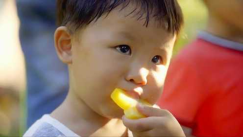 杨桃蘸上盐和酸梅粉，岭南孩子们的童年太幸福了