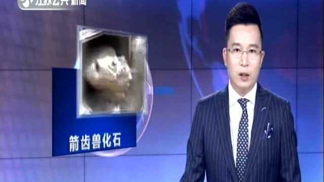 秘鲁发现疑似史前箭齿兽化石