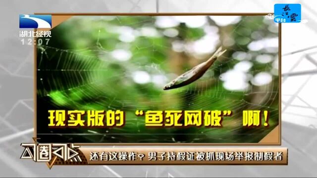 还有这操作?男子持假证被抓现场举报制假者