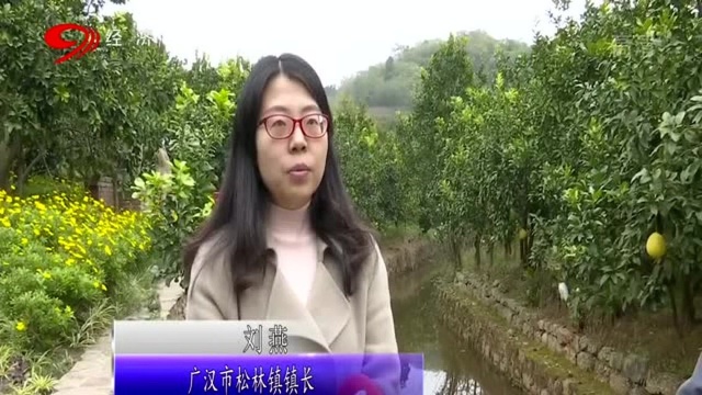 德阳广汉:培育特色农业 升级乡村旅游