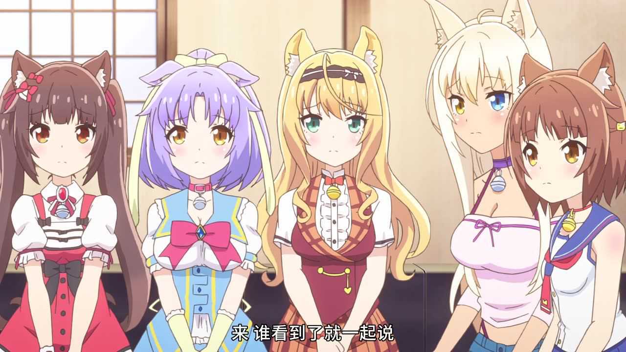 猫娘乐园 12集