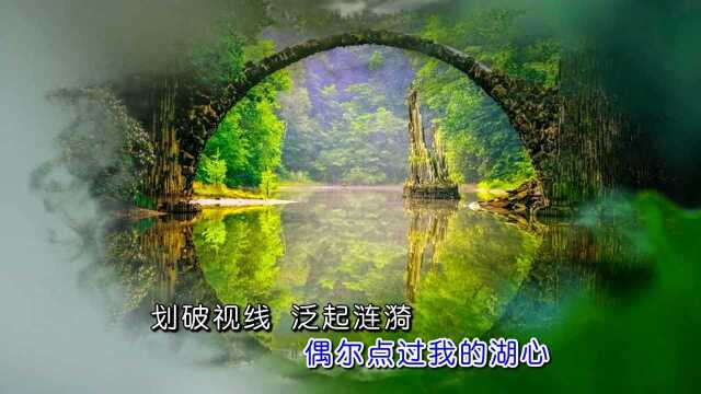 你是一只蜻蜓