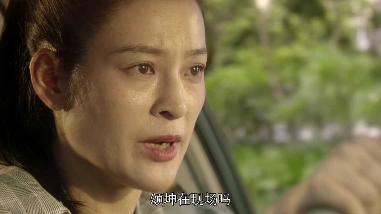 焕脸 17集