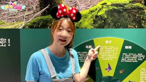 赞赞玩具Pink探：益智之旅 13集