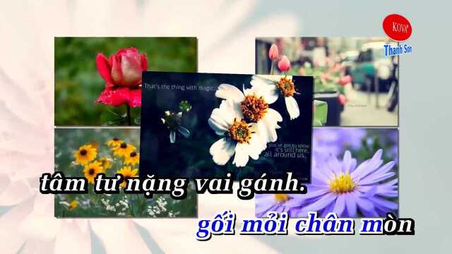 Hai Lối Mộng