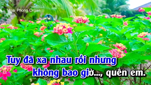 Kh㴮g Bao Giờ Qu㪮 Em  Tone Nam