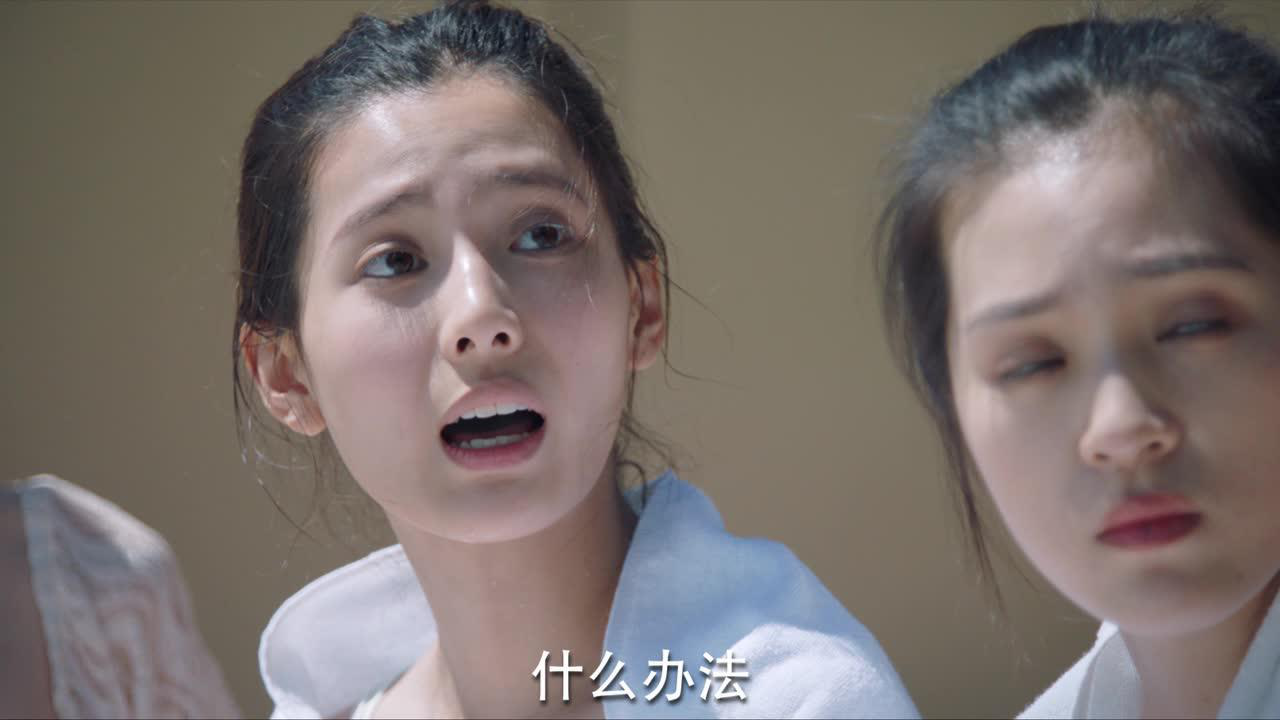 安得广厦千万间 14集