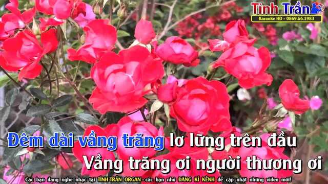 Ru Nửa Vầng Tr䃮g  Tone Nam