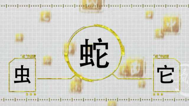 这三个字竟然都代表蛇?