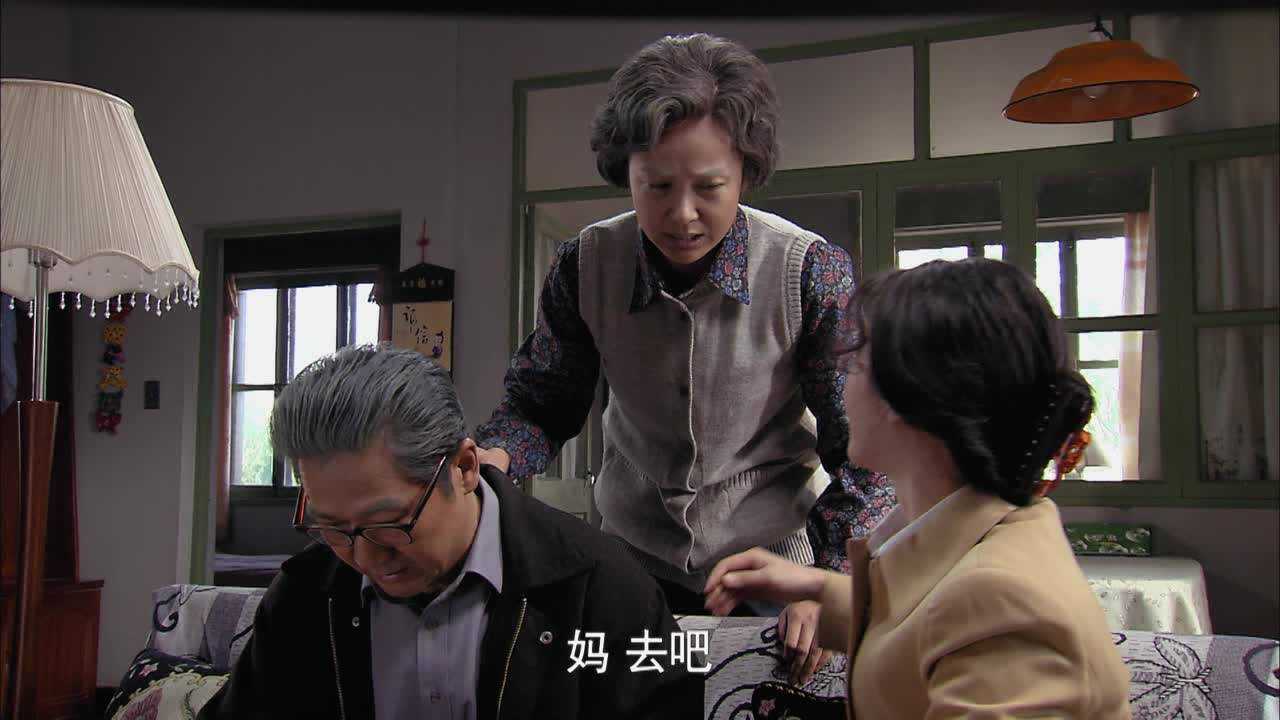 金婚 45集