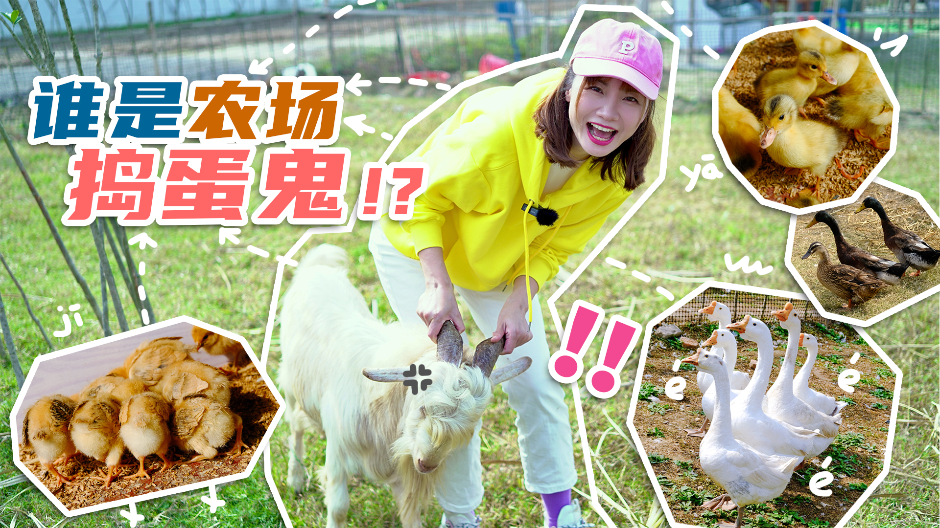 小丹姐姐拼世界 13集