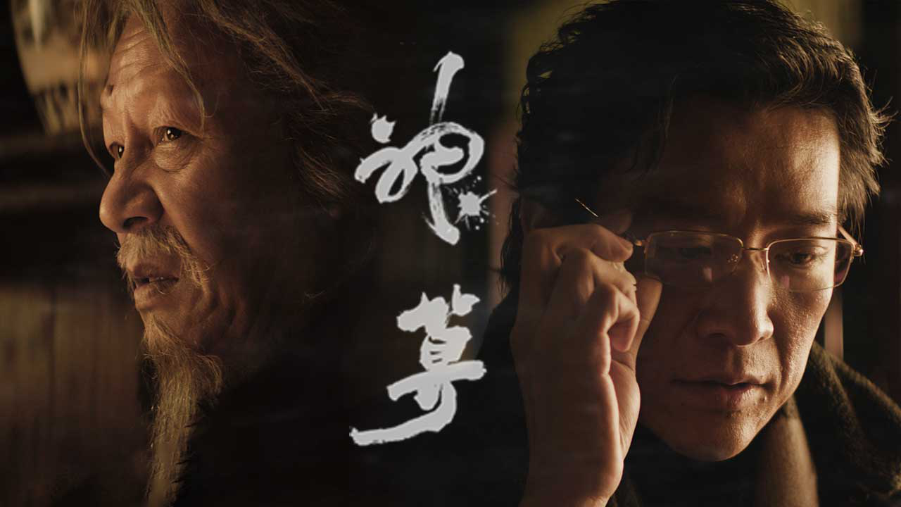 光合计划 2集