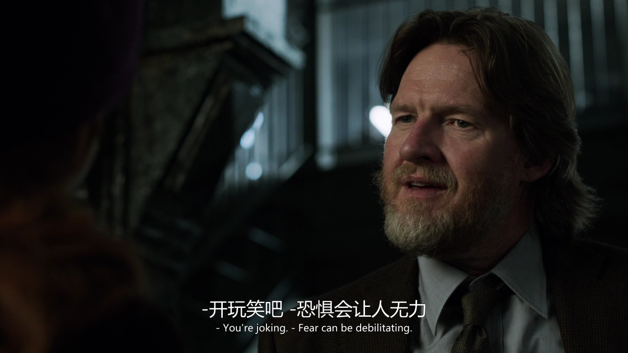 哥谭镇 第一季 14集